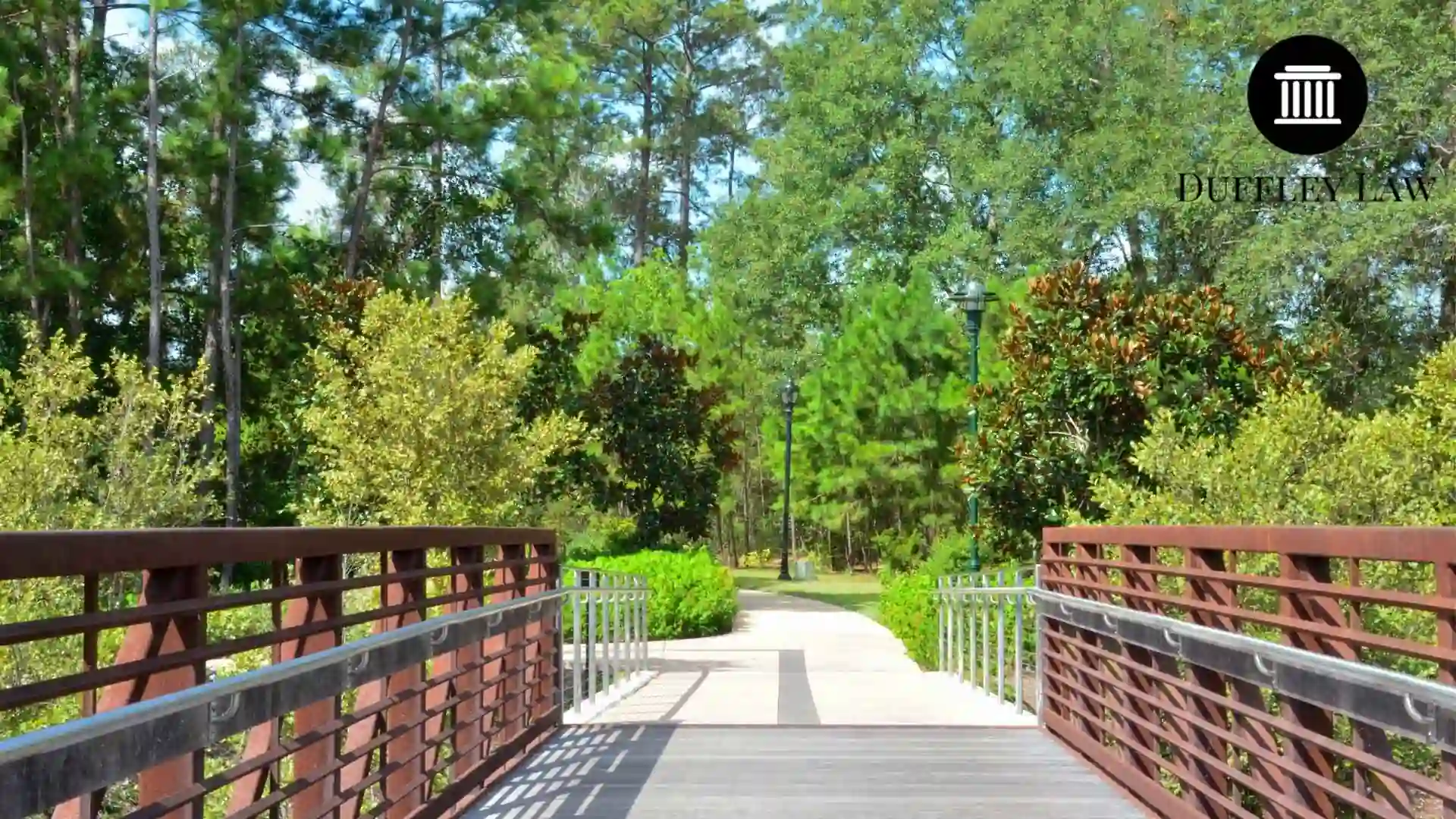 Wooden bridge path surrounded by green trees